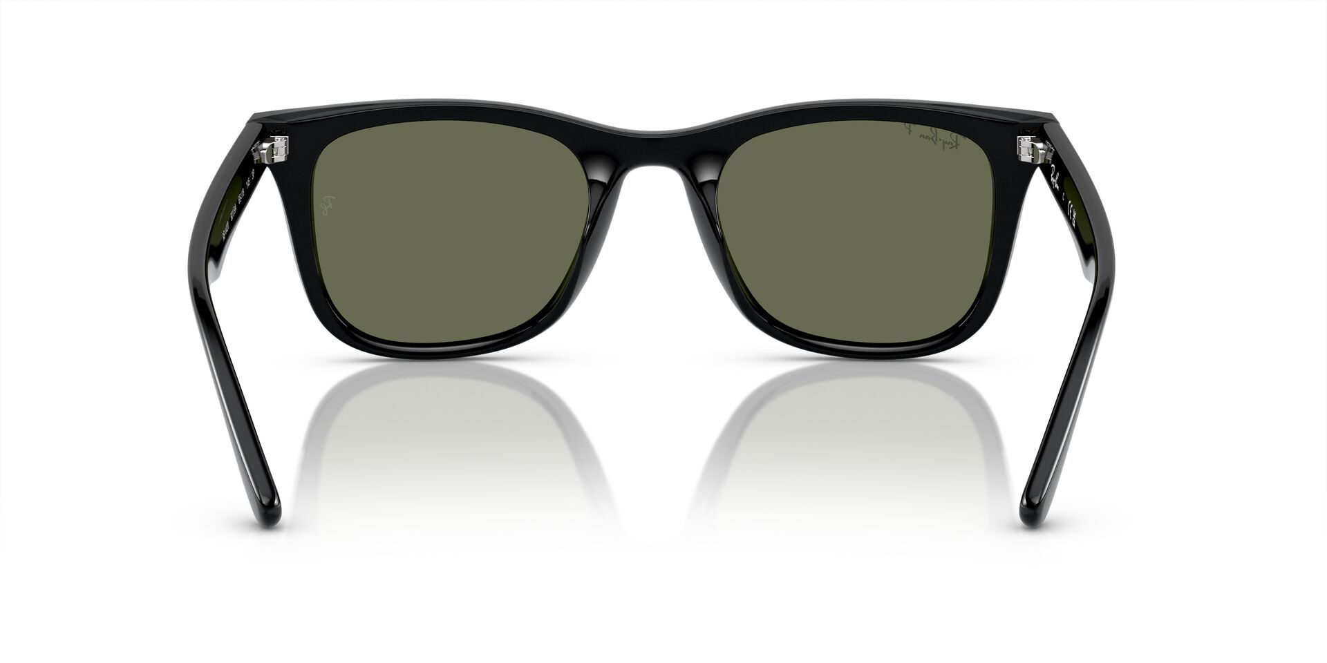 Injected Unisex Sunglass