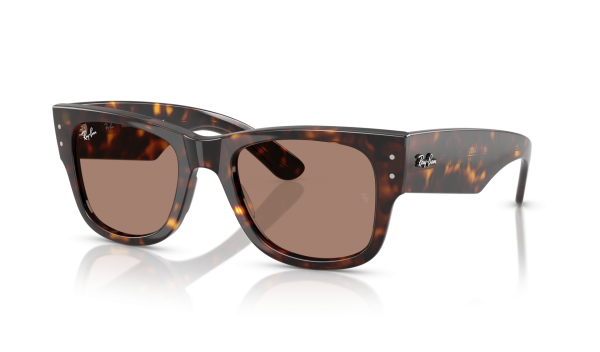 Mega Wayfarer