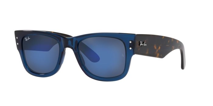 Buy wayfarer sunglasses online india online